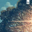 Cover Parasol