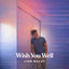 Cover Wish You Well