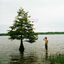 Cover Whispering Pines