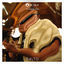 Cover Moska Apresenta Zoombido: Dalto