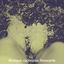 Cover Les matins Tranquilles (Dimanche)