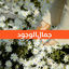 Cover جمال الوجود