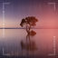 Cover Venus