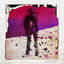 Cover Dear Insanity...