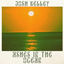 Cover Ashes in the Ocean