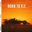 Cover Born To Fly (Lando Norris Tribute)