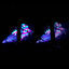 Cover Whoami (Gobi's Melodic Re-Work)