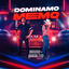 Cover Dominamo Memo