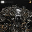 Cover Exodus