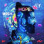 Cover Wish Hope Fly