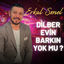 Cover Dilber Evin Barkın Yok Mu ?