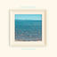Cover Endless Summer