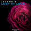 Cover Lost in Love