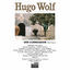 Cover Wolf: Der Corregidor