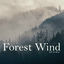 Cover Forest Wind