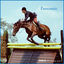 Cover Fantastic