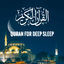 Cover Quran for Deep sleep