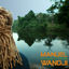 Cover Voyages & Friends