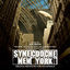 Cover Synecdoche, New York (Original Motion Picture Soundtrack)