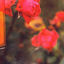 Cover Feel