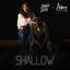 Cover Shallow