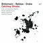 Cover Catching Ghosts