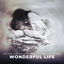 Cover Wonderful Life