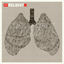 Cover Collapsible Lung