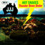 Cover Thunder Down Under