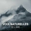 Cover Voix naturelles de l'âme – Meilleur musique de relaxation, Son d'oiseaux, Océan et forêt pour de-stress