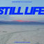 Cover Still Life
