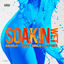 Cover Soakin Wet