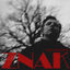 Cover Znak
