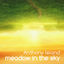 Cover Meadow in the sky