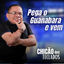 Cover Pega o Guanabara e Vem