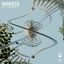 Cover Feel It