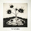 Cover buried alive