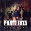 Cover Poate Fata