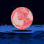 Cover Terre
