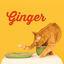 Cover Ginger