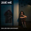 Cover Das Lied der Leichtigkeit