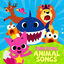 Cover Pinkfong Animal Songs