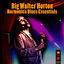 Cover Harmonica Blues Essentials