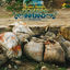 Cover Dog With a Rope (Quantic Presenta Flowering Inferno)