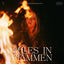 Cover Alles in Flammen