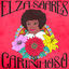 Cover Carinhoso