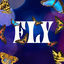 Cover Fly