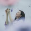Cover Anemone