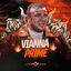 Cover Vianna Prime