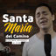 Cover Santa María del camino (Mientras recorres la vida)